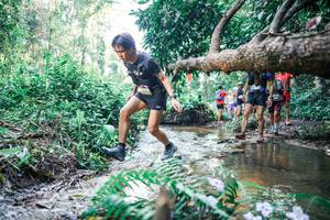 BIB: 
                            <button type="button" onclick="openModal(25449472)" class="btn btn-primary btn-sm float-right btn-popup" data-toggle="modal" data-target=".modal-high-quality">
                        <i class="fas fa-shopping-cart"></i> Add to Cart
                    </button>
                                            <button type="button" onclick="isThisMe(25449472, true)" class="btn btn-success btn-sm float-right btn-popup btn-isme hidden" data-toggle="tooltip" data-placement="bottom" title="นี่คือรูปของคุณใช่ไหม คลิกที่นี่เพื่อเอาเข้าอัลบั้ม">
                        <i class="fas fa-plus"></i> Add to album
                    </button>
                    <button type="button" onclick="isThisMe(25449472, false)" class="btn btn-warning btn-sm float-right btn-popup btn-isnotme hidden">
                        <i class="fas fa-ban"></i> Remove from album
                    </button>